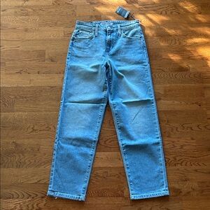 JOE'S Jeans Lolita Boyfriend Cropped Blue 24 Women Straight Stretch denim